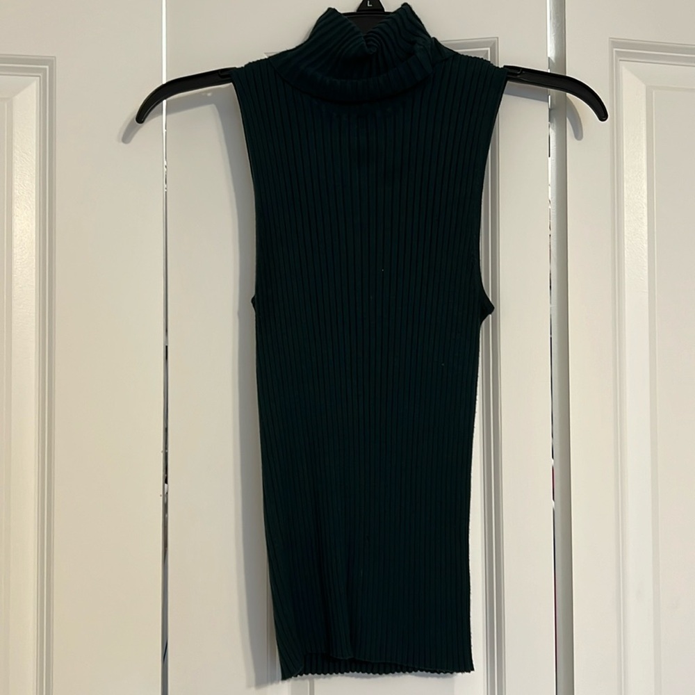 Express Turtleneck Sleeveless Sweater